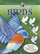 Creative Haven How to Draw Birds