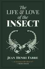 The Life and Love of the Insect