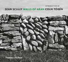 Sean Scully