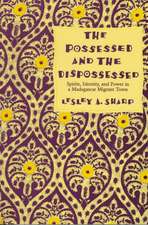 The Possessed & the Dispossessed – Spirits, Identity, & Power in a Madagascar Migrant Town (Paper)