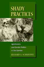 Shady Practices – Agroforestry & Gender Politics in The Gambia (Paper)