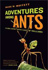 Adventures among Ants – A Global Safari with a Cast of Trillions