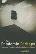 The Pandemic Perhaps – Dramatic Events in a Public Culture of Danger