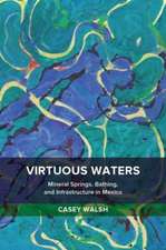 Virtuous Waters – Mineral Springs, Bathing, and Infrastructure in Mexico