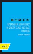 The Velvet Glove – Paternalism and Conflict in Gender, Class, and Race Relations