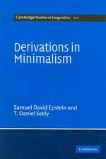 Derivations in Minimalism