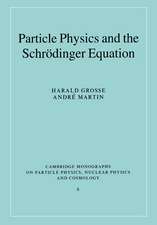 Particle Physics and the Schrödinger Equation