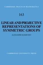 Linear and Projective Representations of Symmetric Groups