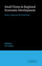 Small Firms in Regional Economic Development: Britain, Ireland and the United States