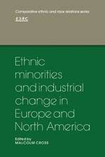 Ethnic Minorities and Industrial Change in Europe and North America