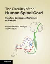 The Circuitry of the Human Spinal Cord: Spinal and Corticospinal Mechanisms of Movement