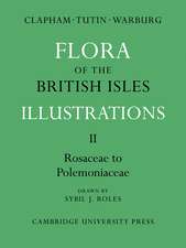 Flora of the British Isles: Illustrations