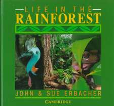 Life in the Rainforest