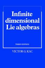 Infinite-Dimensional Lie Algebras