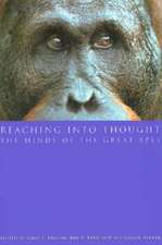 Reaching into Thought: The Minds of the Great Apes