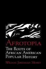 Afrotopia: The Roots of African American Popular History