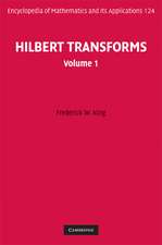 Hilbert Transforms 2 Volume Hardback Set