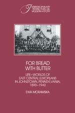 For Bread with Butter: The Life-Worlds of East Central Europeans in Johnstown, Pennsylvania, 1890–1940