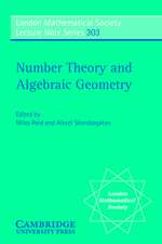 Number Theory and Algebraic Geometry