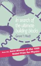 In Search of the Ultimate Building Blocks