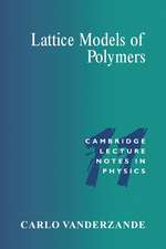 Lattice Models of Polymers