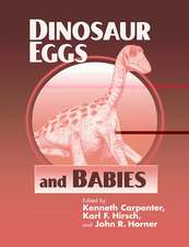 Dinosaur Eggs and Babies