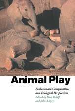 Animal Play: Evolutionary, Comparative and Ecological Perspectives