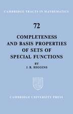 Completeness and Basis Properties of Sets of Special Functions