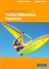 An Introduction to Partial Differential Equations