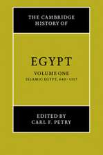 The Cambridge History of Egypt 2 Volume Set