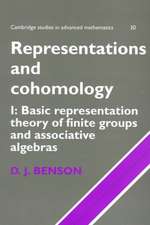 Representations and Cohomology: Volume 1, Basic Representation Theory of Finite Groups and Associative Algebras