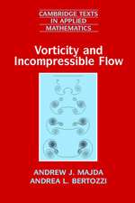 Vorticity and Incompressible Flow