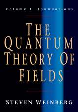 The Quantum Theory of Fields: Volume 1, Foundations