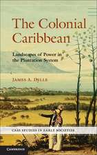 The Colonial Caribbean: Landscapes of Power in Jamaica's Plantation System