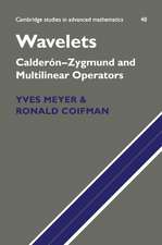 Wavelets: Calderón-Zygmund and Multilinear Operators