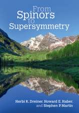 From Spinors to Supersymmetry