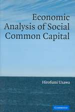 Economic Analysis of Social Common Capital