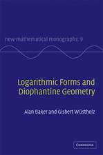 Logarithmic Forms and Diophantine Geometry