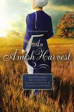 An Amish Harvest: Four Novellas