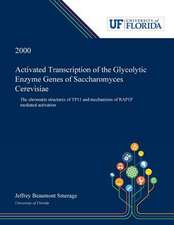 Activated Transcription of the Glycolytic Enzyme Genes of Saccharomyces Cerevisiae