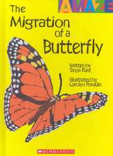 The Migration of a Butterfly