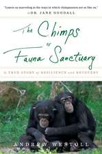 The Chimps Of Fauna Sanctuary: A True Story of Resilience and Recovery