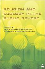 Religion and Ecology in the Public Sphere