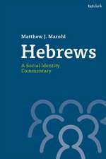 Hebrews: A Social Identity Commentary