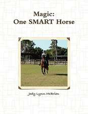 Magic One Smart Horse