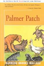 Palmer Patch