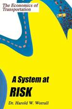 A System at Risk