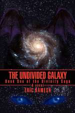 The Undivided Galaxy