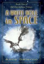 A White Hole in Space