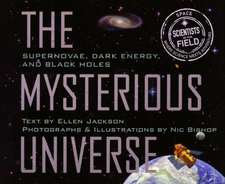 The Mysterious Universe: Supernovae, Dark Energy, and Black Holes